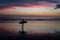 Silhouette of a surfer at sunset