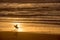 Silhouette of a surfer at sunset on the atlantic ocean, Lacanau France