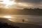 Silhouette of surfers in scenic golden sunset on hendaye beach, basque country, france