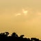 Silhouette Suwon Hwaseong Fortress at sunset, South Korea. Traditional korean background