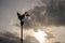 Silhouette Swan in the sky at Ko Kret