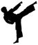 Silhouette of taekwondo kick