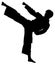 Silhouette of taekwondo kick