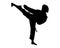 Silhouette of taekwondo kick