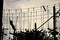 Silhouette of a teenage boy climbing on zip line and trying to find his balance