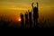 Silhouette of three children and mom standing at mountain. There is a sunset in the background,
