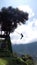 Silhouette of a tourist on a swing at Casa del Arbol