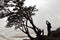 Silhouette of a tourist taking a picture against the backdrop of a large clumsy tree in the snowy mountains