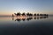 Silhouette of tourists on camel ride Cable Beach Broome Kimberley Western Australia