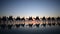 Silhouette of tourists on camel ride convoy on Cable Beach Broome Western Australia 03