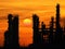 Silhouette tower of oil refinery