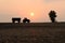 Silhouette tractor at hill farm