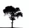 silhouette of a tree