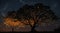 A silhouette of a tree adorned with fireflies against the night sky