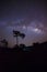 Silhouette of tree and beautiful milkyway on a night sky