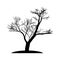 The silhouette of the tree is black without leaves. A lone tree with bare branches. Old tree.Vector