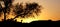 Silhouette tree in desert