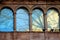 Silhouette of a tree with its branches  reflected in the glass of the multiple window and with colored background