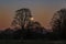 A silhouette of a tree with the Moon rising against the pink sky