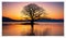 Silhouette of a tree at sunset in a beautiful landscape.
