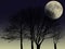 Silhouette trees and the full moon background