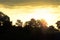 Silhouette of trees and sky with clouds