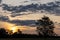 Silhouette of trees and sunlight in the countryside