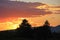 Silhouette of trees at sunrise, Colorado