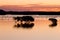 Silhouette of trees in water at sunset on saltwater river mouth