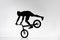 silhouette of trial biker performing front wheel balancing stunt on bicycle