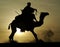 Silhouette of Tuareg rider and camel rising