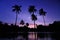 Silhouette twilight coconut trees.