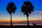 A silhouette of twin palm tree with background beautiful of sunset