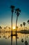 Silhouette of twin palmyra palm and their reflections