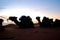 Silhouette of two camels in Moroccan Sahara Desert at sunset