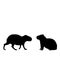 Silhouette of two capybaras. Capybara family.