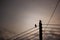 Silhouette two couple bird perched on electric pole