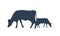 Silhouette of two cows. Vector Cow icon or symbol for milk or meat or farm animal concept.