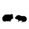 Silhouette of two Guinea pig. Pet animals