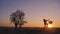 Silhouette of two hikers tourist running jumping funny and throwing backpacks at sunset. Slow motion. Concept travel and