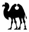 Silhouette of a two-humped camel