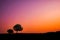 Silhouette of two trees and sunset at Thung Kramang Chaiyaphum Province, Thailand