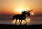 Silhouette of a unicorn in sunset landscape