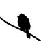 The silhouette vector illustration of a bulbul bird sitting on tree in white background