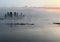 Silhouette Waterfowl Morning Fog Yellowstone