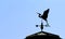 Silhouette of a Weathervane