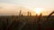 Silhouette wheat field in sunset time shooting with a crane, beautiful rural landscape, harvest, spikelets sways in wind