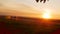 Silhouette wheat field in sunset time, shooting with a crane from crown foliage of tree to field, beautiful rural landscape