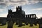 Silhouette of Whitby Abbey