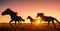 silhouette of wild horses running in the plain at sunset